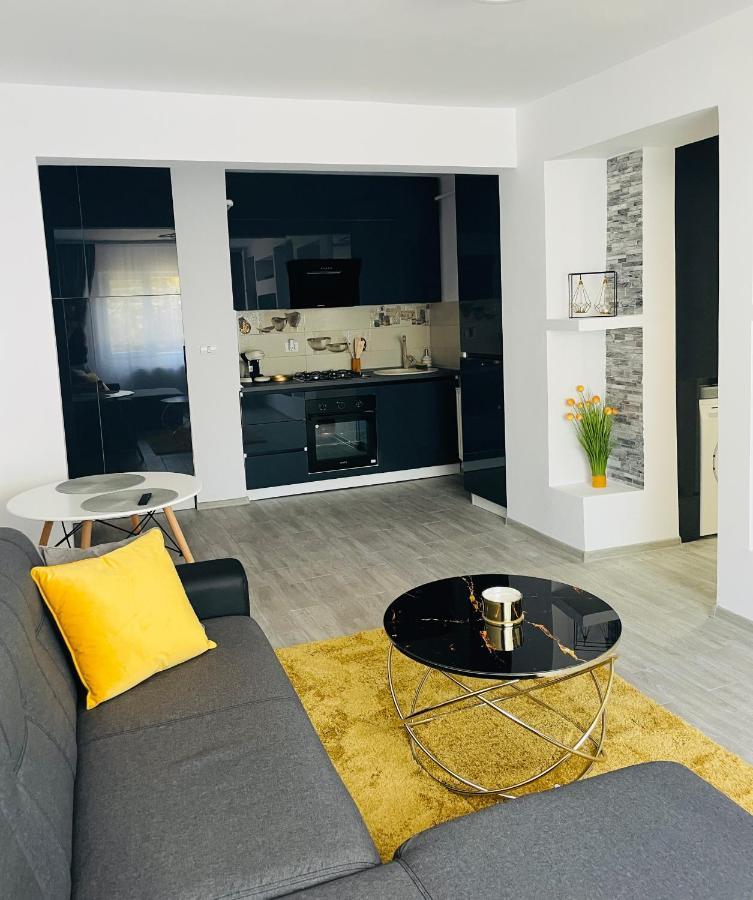 Timisoara Central Apartment New Parking !! Extérieur photo