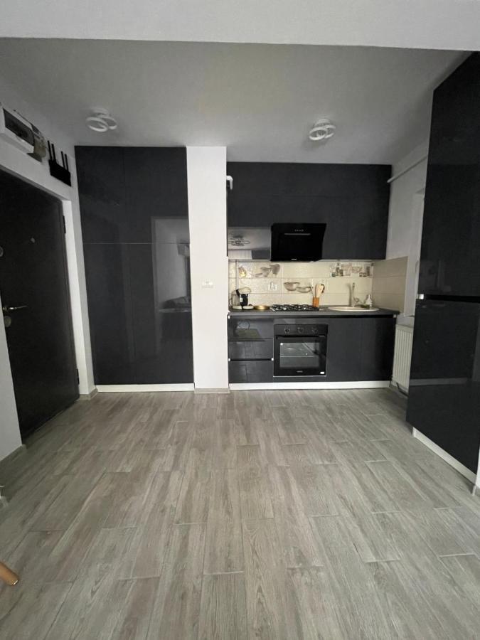 Timisoara Central Apartment New Parking !! Extérieur photo