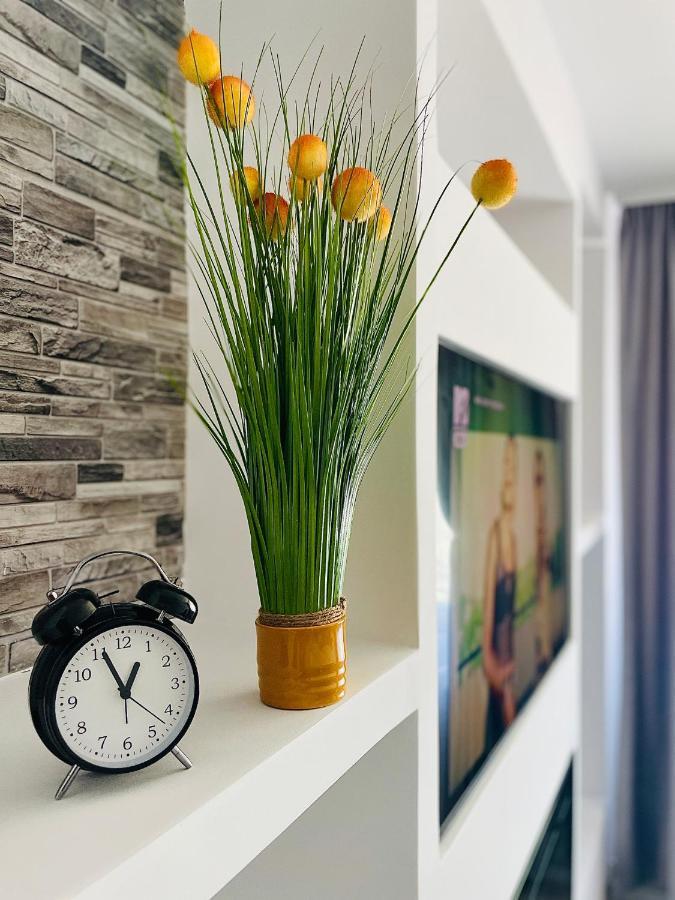 Timisoara Central Apartment New Parking !! Extérieur photo